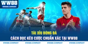Tài Xỉu Bóng Đá WW88