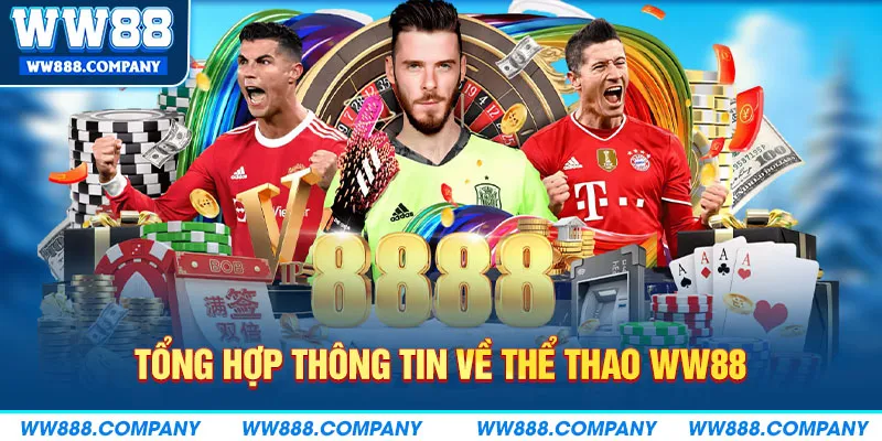 Tổng hợp thông tin về sảnh thể thao WW88